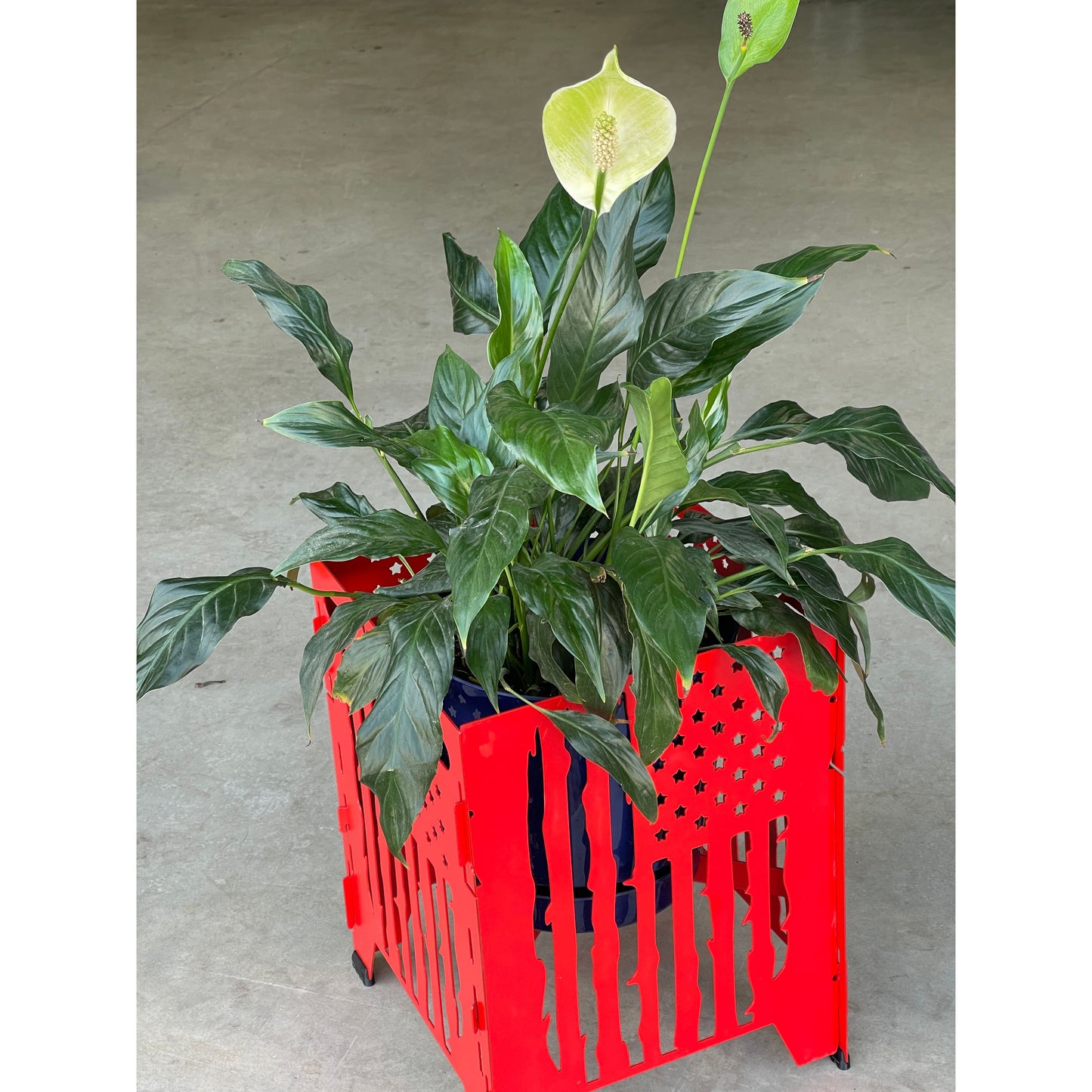 Metal Plant Stand Indoor Outdoor | Collapsible Adjustable Height 9x9x10 | Foldable Plant Holder