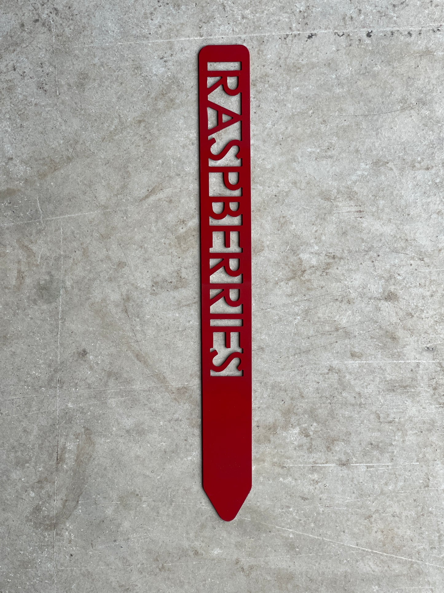 Metal Garden Stakes - Painted in color