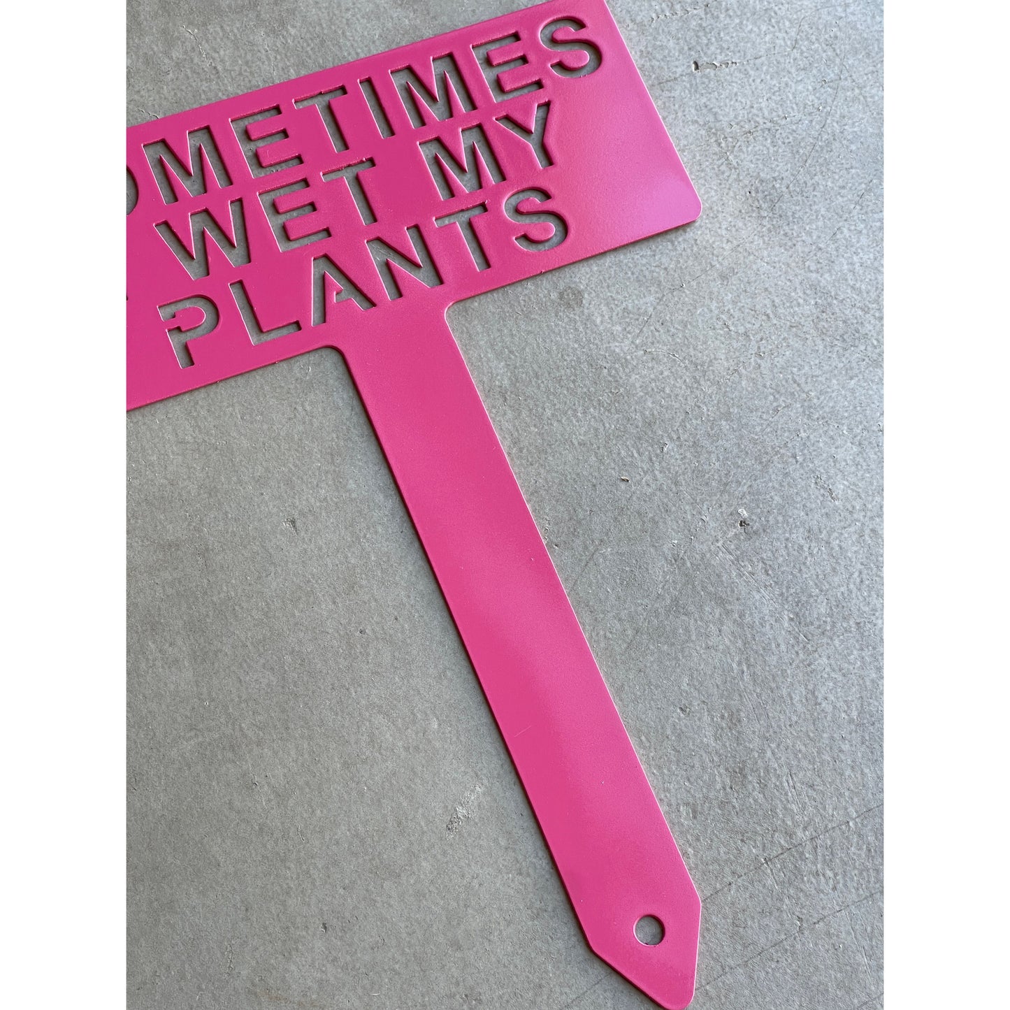 Sometimes I Wet My Plants Sign – Funny Garden Decor – 10.5"x14" Metal Garden Sign