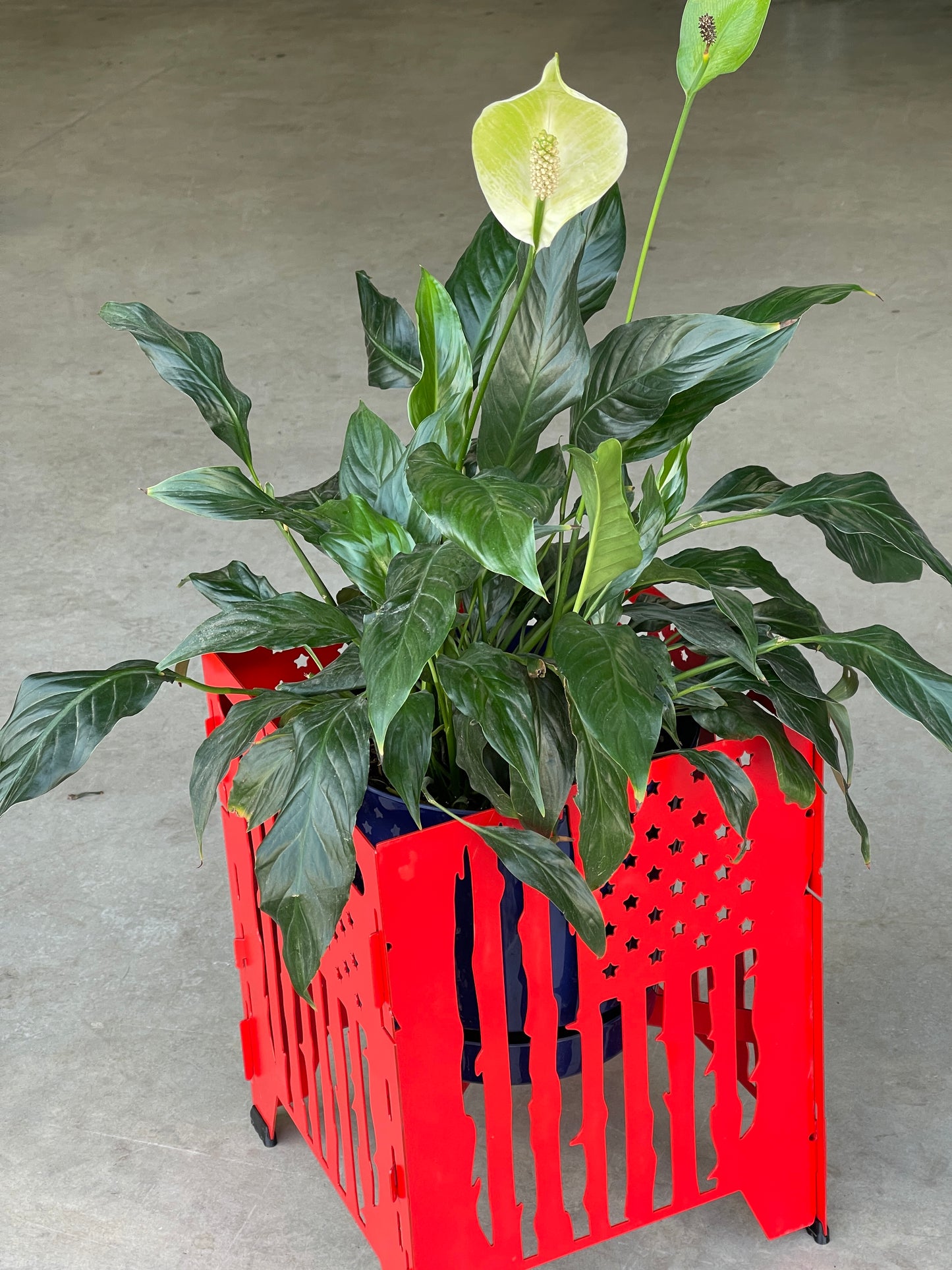 Collapsible Plant Stand Metal | 12.5" x 12.5"x 20" high