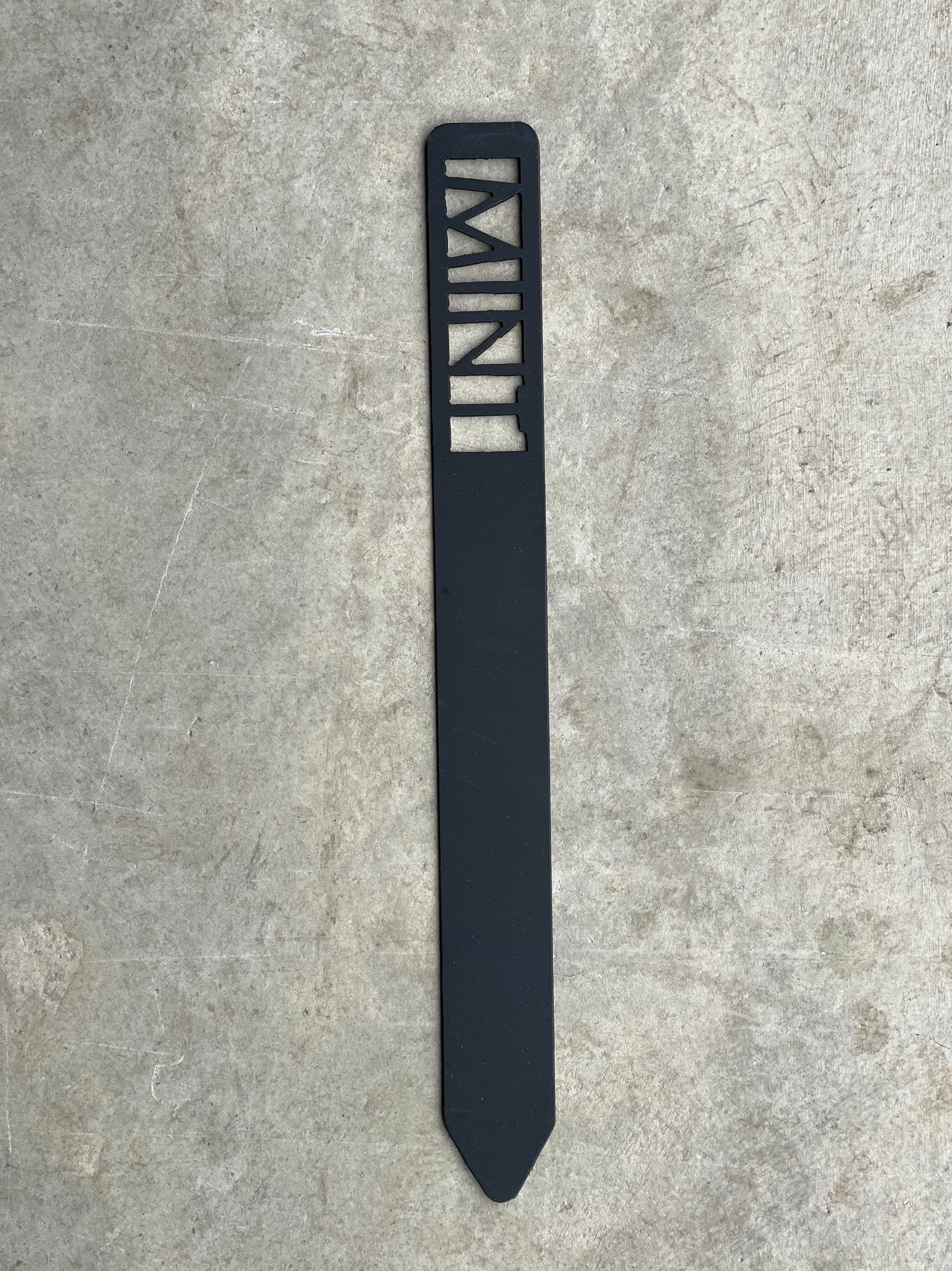 Metal Garden Stakes - Painted Black