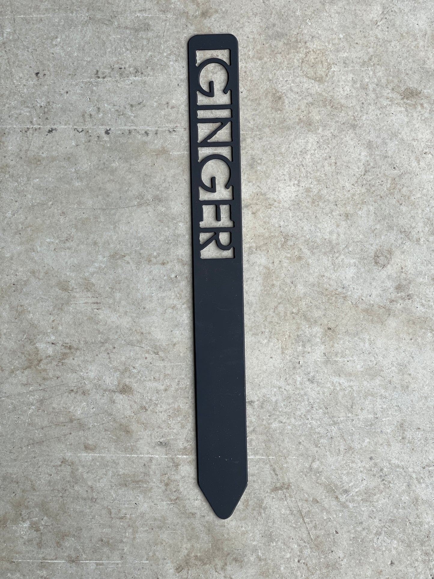 Metal Garden Stakes - Painted Black